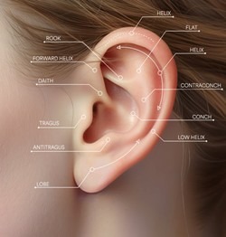 Piercings en las orejas